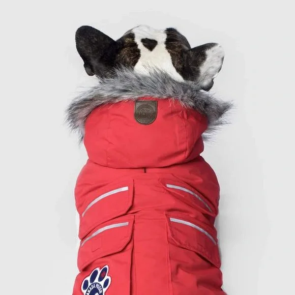 💕x3HP💕Red Canada Pooch dog winter coat - Picture 2 of 14